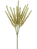 Moss Cream