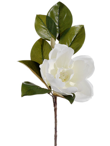 34" Magnolia Spray  White (pack of 12)