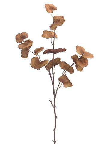 42" Mushroom Spray  Brown (pack of 6)