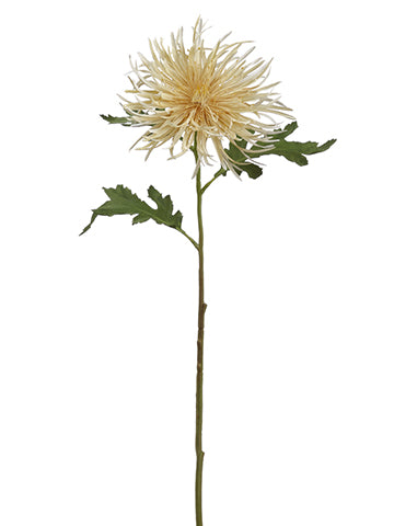 26" Spider Mum Spray  Beige (pack of 12)