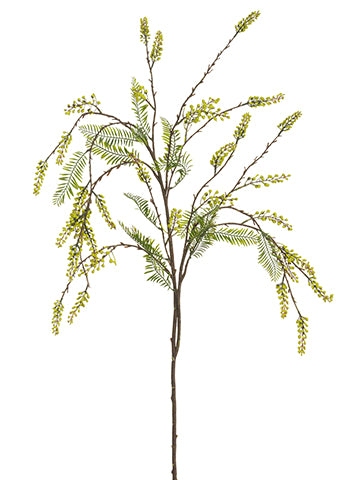 48" Mimosa Hanging Spray  Yellow (pack of 12)