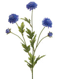 Blue Delphinium