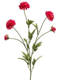 Cerise