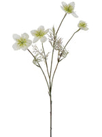 Cream Green