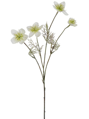 Cream Green
