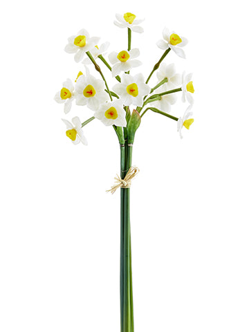 20" Narcissus Bundle x3  White Yellow (pack of 12)
