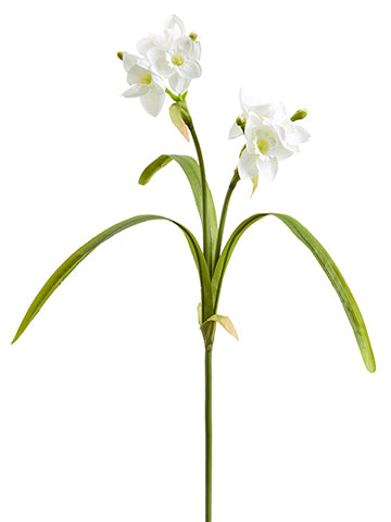22" Narcissus Spray  White (pack of 12)