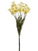 26" Narcissus Bundle x3  White Yellow (pack of 12)