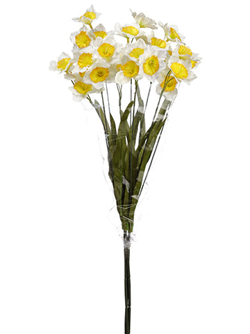 26" Narcissus Bundle x3  White Yellow (pack of 12)