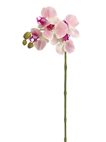 27" Real Touch Phalaenopsis Orchid Spray With 5 Flowers Pink (pack of 12)