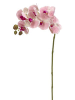37" Real Touch Phalaenopsis Orchid Spray With 7 Flowers Pink (pack of 12)