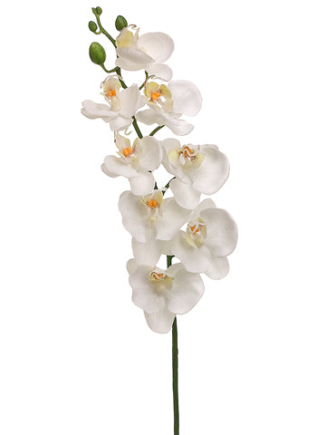 26" Phalaenopsis Orchid Spray  White (pack of 12)