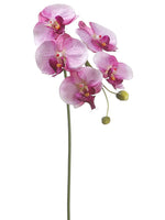 28" Phalaenopsis Orchid Spray with 5 Flowers and 2 Buds Orchid Violet (pack of 12)