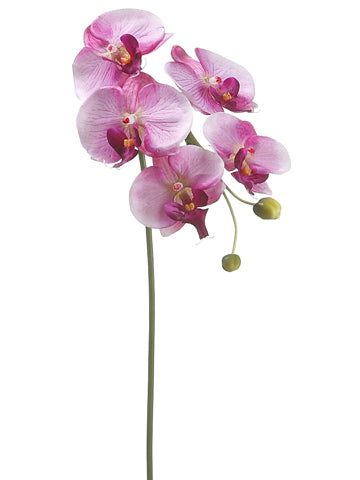 28" Phalaenopsis Orchid Spray with 5 Flowers and 2 Buds Orchid Violet (pack of 12)