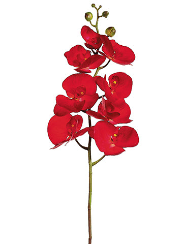 41" Phalaenopsis Orchid Spray  Crimson (pack of 12)