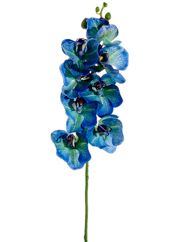 26" Phalaenopsis Orchid Spray  Delphinium (pack of 12)