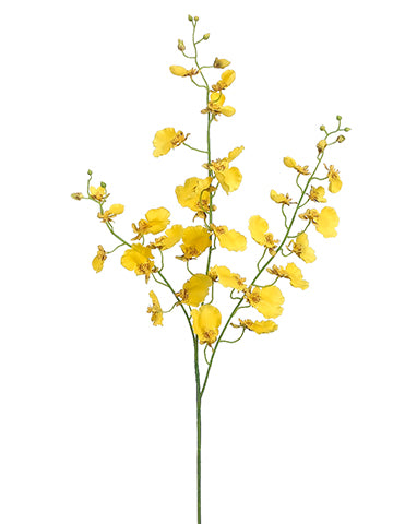 38" Oncidium Orchid Spray  Yellow (pack of 12)