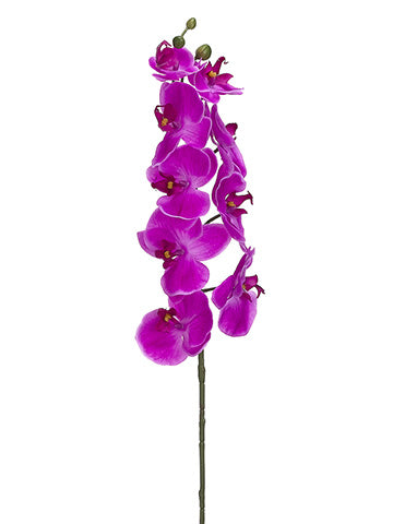 30" Phalaenopsis Orchid Spray With 9 Flowers Orchid (pack of 12)
