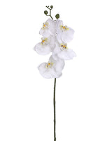 28" Phalaenopsis Orchid Spray With 5 Flowers White (pack of 12)