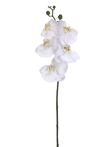 28" Phalaenopsis Orchid Spray With 5 Flowers White (pack of 12)