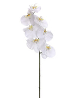28" Phalaenopsis Orchid Spray With 7 Flowers White (pack of 12)