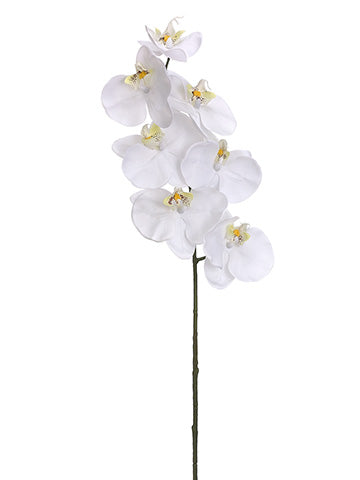 28" Phalaenopsis Orchid Spray With 7 Flowers White (pack of 12)