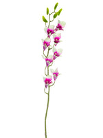 30.5" Dendrobium Orchid Spray  Cream Orchid (pack of 12)