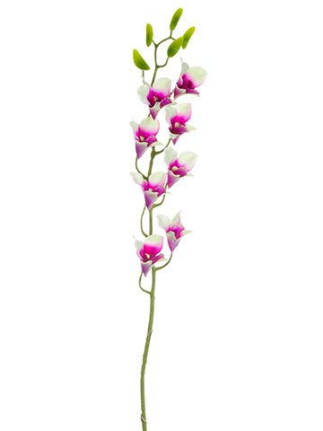 30.5" Dendrobium Orchid Spray  Cream Orchid (pack of 12)