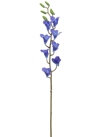 32" Dendrodibum Orchid Spray  Peacock (pack of 12)