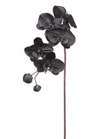 29" Phalaenopsis Orchid Spray With 5 Flower And 2 Buds Black (pack of 12)