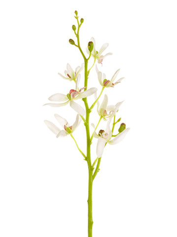 16.5" Dendrobium Orchid Spray  Cream (pack of 12)