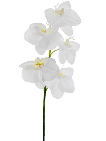 25.5" Phalaenopsis Orchid Spray White (pack of 12)