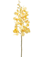25" Vanda Orchid Spray  Two Tone Yellow (pack of 12)
