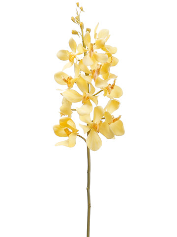 25" Vanda Orchid Spray  Two Tone Yellow (pack of 12)