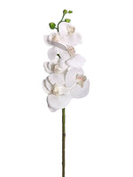 33.5" Phalaenopsis Orchid Spray White (pack of 12)