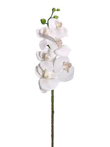 33.5" Phalaenopsis Orchid Spray White (pack of 12)