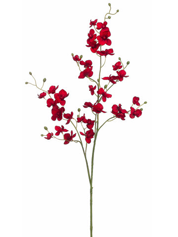 39" Phalaenopsis Orchid Spray  Red (pack of 12)