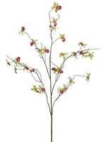 34" Mini Cymbidium Orchid Spray Green Cerise (pack of 12)