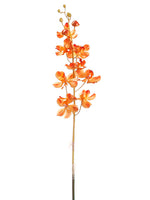 30" Vanda Orchid Spray  Two Tone Orange (pack of 12)