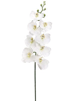 32" Phalaenopsis Orchid with Rhinestone Spray White (pack of 6)