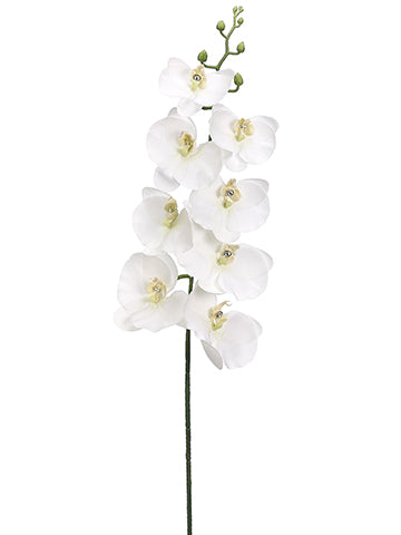 32" Phalaenopsis Orchid with Rhinestone Spray White (pack of 6)