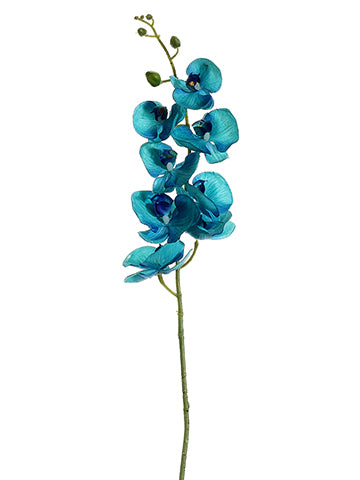 40" Phalaenopsis Orchid Spray with 8 Flowers and 4 Buds Aqua (pack of 12)