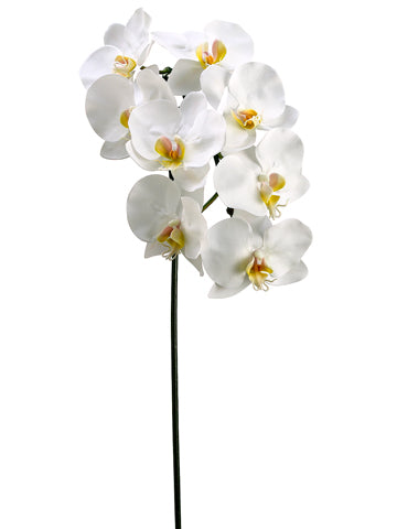 37.5" Phalaenopsis Spray  White (pack of 6)