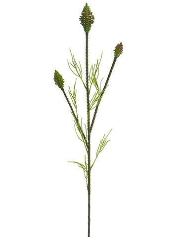 29.5" Protea Spray  Two Tone Green (pack of 12)