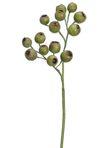 19" Ecualyptus Pod Spray  Green (pack of 12)