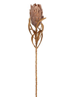 24.5" Dried Look Queen Protea Spray Camel (pack of 12)