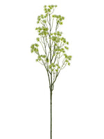 48" Cow Parsnip Spray  Cream Green (pack of 6)