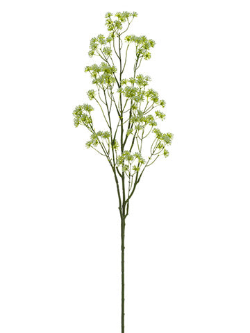 48" Cow Parsnip Spray  Cream Green (pack of 6)