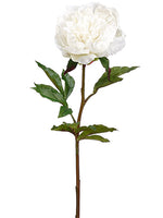 30" Real Touch Peony Spray  Cream (pack of 12)