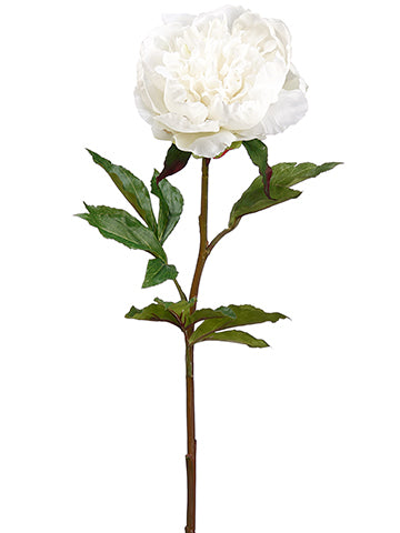 30" Real Touch Peony Spray  Cream (pack of 12)